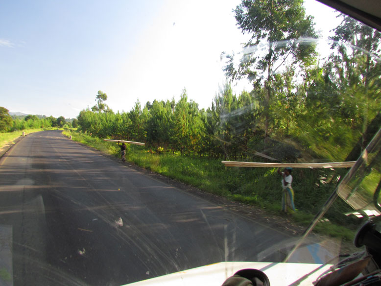 porteando tablones de madera...esto si que es igualdad...donde estas querida Ahido...en un puesto de la ONU en NY. que cara tienes!!